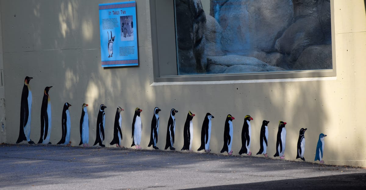 A painting of a bunch of different penguins on a zoo wall.